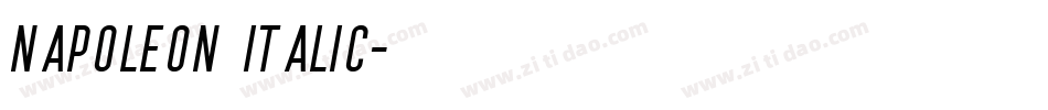 Napoleon Italic字体转换